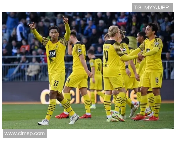 多特蒙德足球俱乐部发展历程及其在欧洲足坛的影响力分析